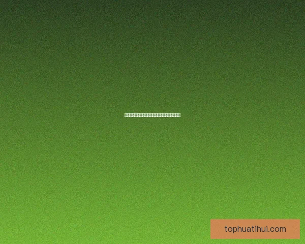 华体会下载最新官方指南全面解析与安全使用方法