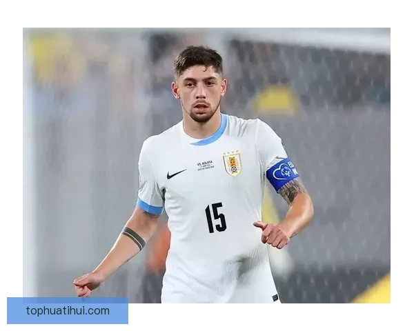 2026世界杯晋级球队全面解析与夺冠热门预测全景指南